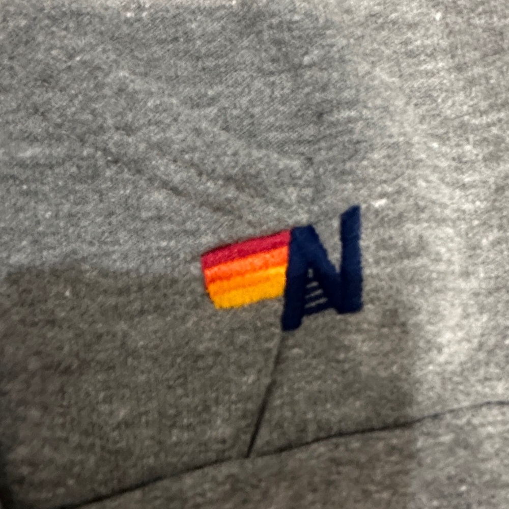 Aviator Nation Gray Hoodie with Vibrant Logo. - Picture 4 of 5